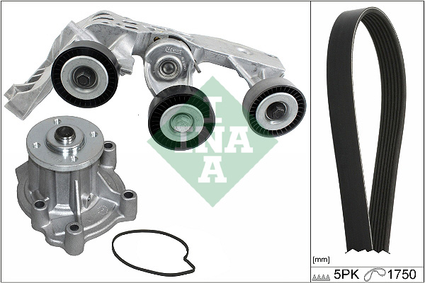 Pompa acqua + Kit cinghia Poly V - 529 0081 31 Schaeffler INA