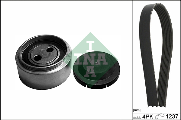V-Ribbed Belt Set - 529 0087 10 Schaeffler INA