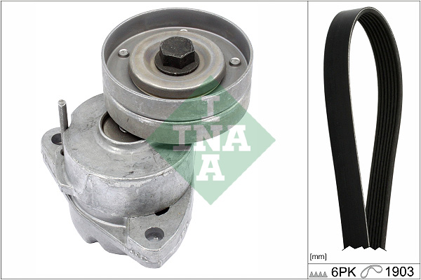 Kit Cinghie Poly-V - 529 0091 10 Schaeffler INA