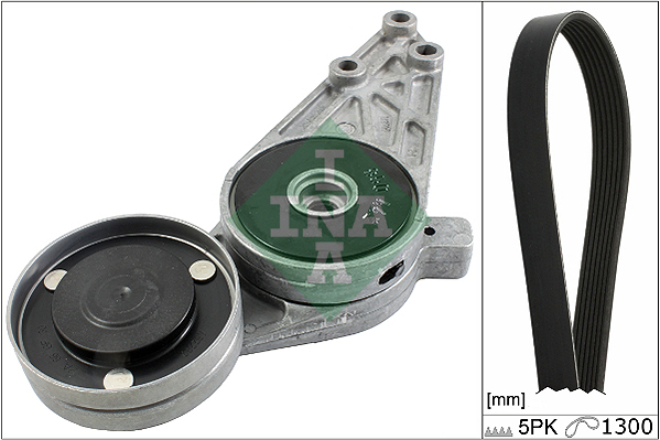 V-Ribbed Belt Set - 529 0096 10 Schaeffler INA