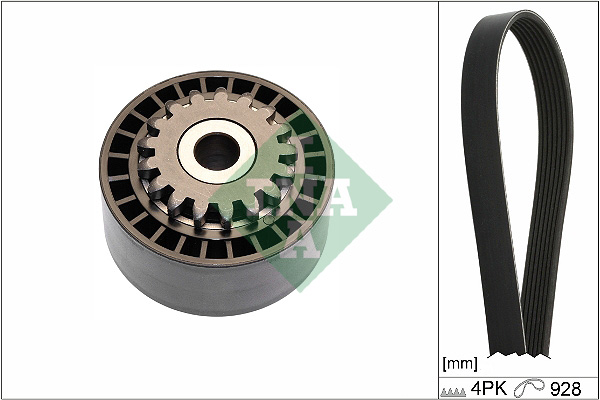 Kit Cinghie Poly-V - 529 0100 10 Schaeffler INA