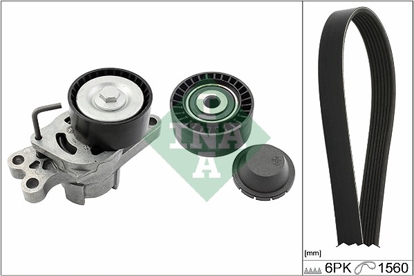 Kit Cinghie Poly-V - 529 0109 10 Schaeffler INA