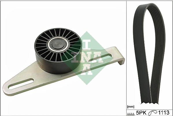 V-Ribbed Belt Set - 529 0145 10 Schaeffler INA