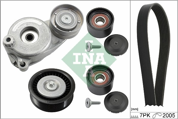 V-Ribbed Belt Set - 529 0168 10 Schaeffler INA