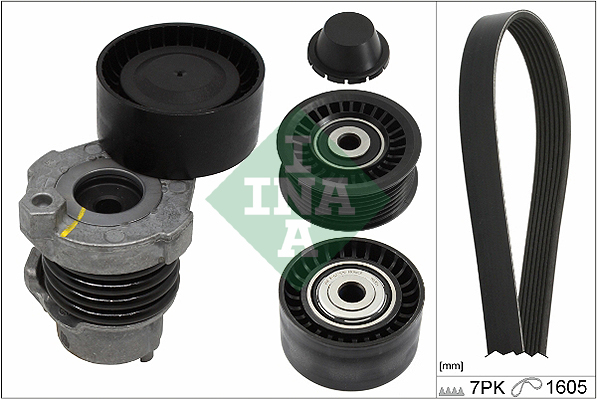 V-Ribbed Belt Set - 529 0194 10 Schaeffler INA