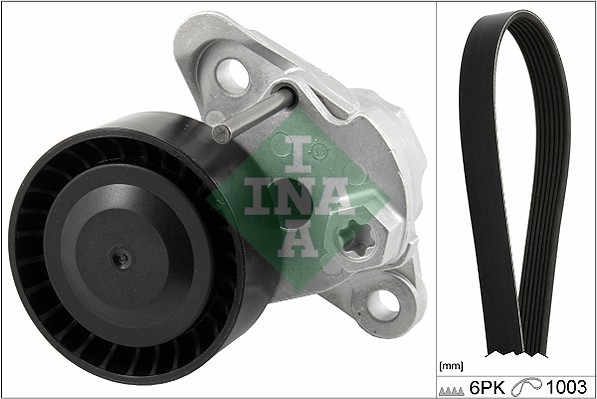 V-Ribbed Belt Set - 529 0208 10 Schaeffler INA
