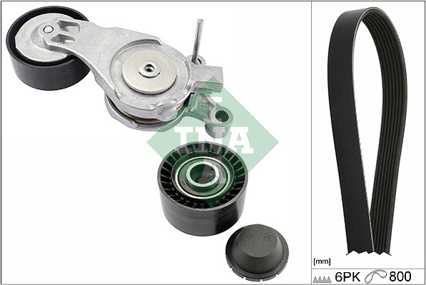Kit Cinghie Poly-V - 529 0213 10 Schaeffler INA