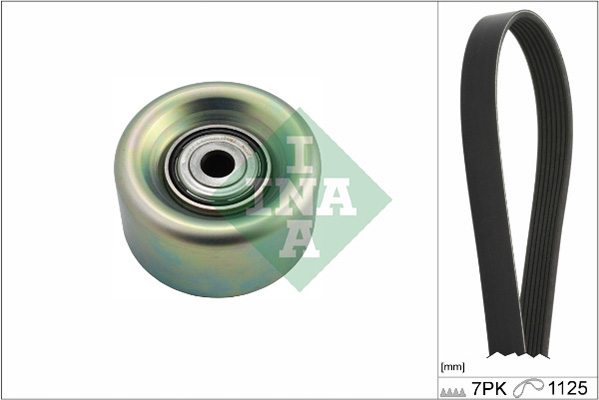 Поликлиновой ременный комплект - 529 0231 10 Schaeffler INA