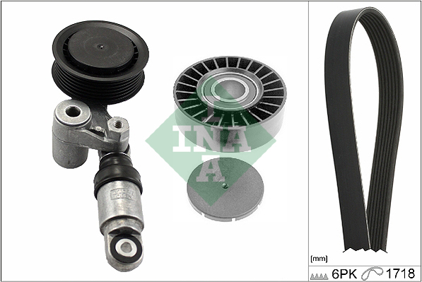 Kit Cinghie Poly-V - 529 0244 10 Schaeffler INA