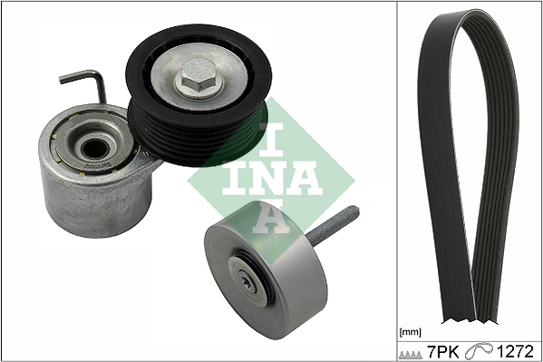 V-Ribbed Belt Set - 529 0245 10 Schaeffler INA