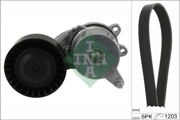 Kit Cinghie Poly-V - 529 0262 10 Schaeffler INA