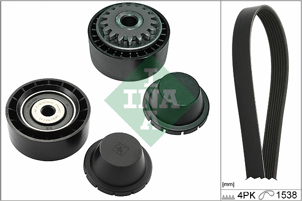 V-Ribbed Belt Set - 529 0280 10 Schaeffler INA