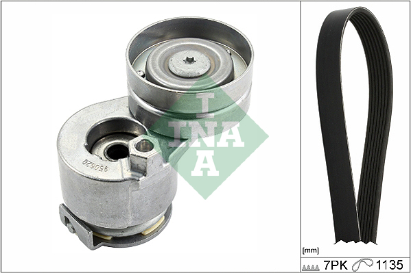 V-Ribbed Belt Set - 529 0283 10 Schaeffler INA