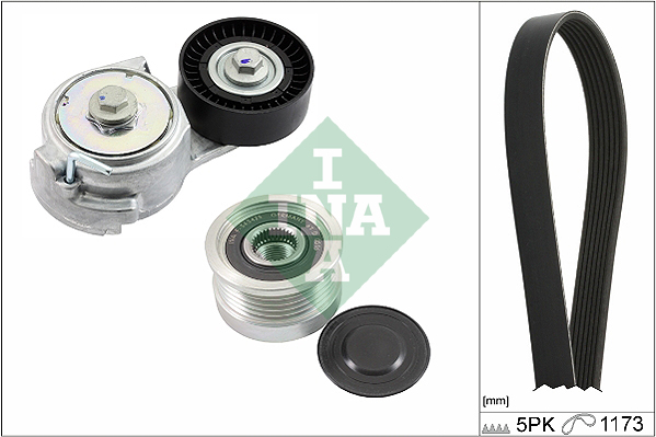V-Ribbed Belt Set - 529 0478 20 Schaeffler INA