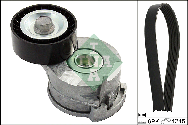 Kit Cinghie Poly-V - 529 0291 10 Schaeffler INA