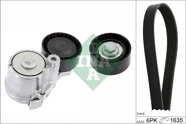 Kit Cinghie Poly-V - 529 0311 10 Schaeffler INA