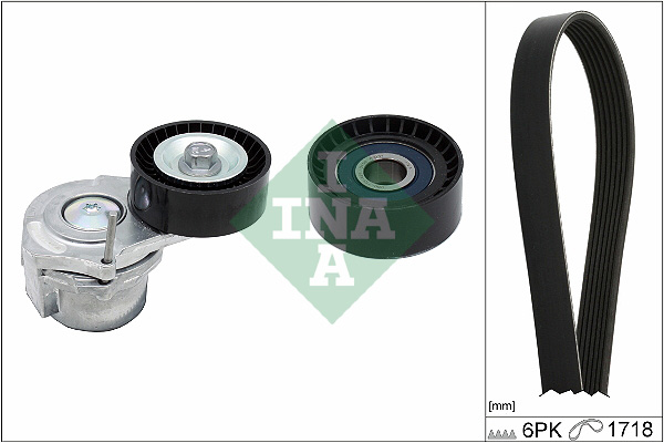 Kit Cinghie Poly-V - 529 0312 10 Schaeffler INA