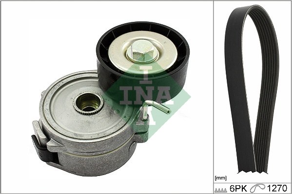 Kit Cinghie Poly-V - 529 0315 10 Schaeffler INA