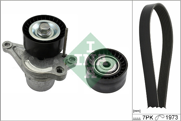 Kit Cinghie Poly-V - 529 0317 10 Schaeffler INA