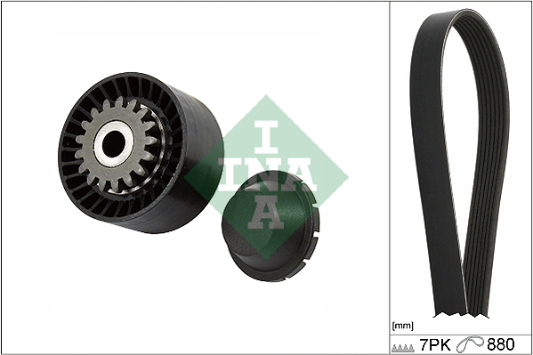 V-Ribbed Belt Set - 529 0318 10 Schaeffler INA