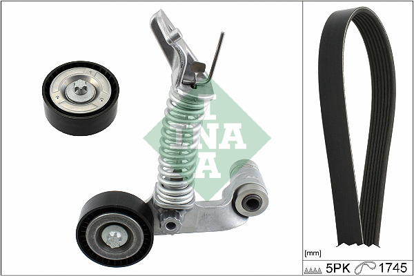 V-Ribbed Belt Set - 529 0319 10 Schaeffler INA