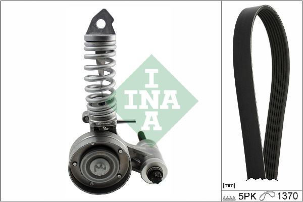 Kit Cinghie Poly-V - 529 0324 10 Schaeffler INA
