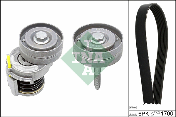 V-Ribbed Belt Set - 529 0341 10 Schaeffler INA