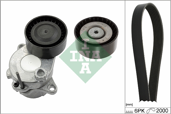 Kit Cinghie Poly-V - 529 0343 10 Schaeffler INA
