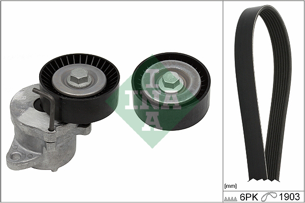 Kit Cinghie Poly-V - 529 0348 10 Schaeffler INA