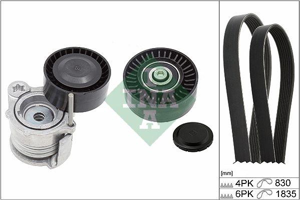 V-Ribbed Belt Set - 529 0359 10 Schaeffler INA