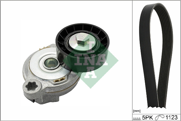 V-Ribbed Belt Set - 529 0375 10 Schaeffler INA