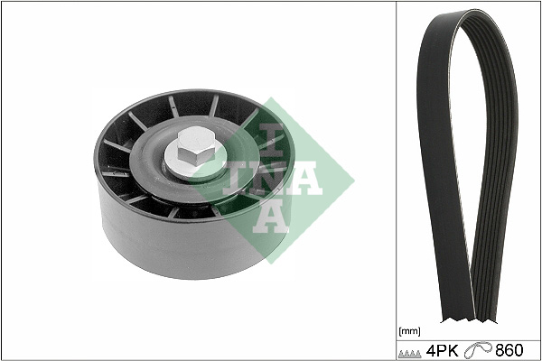 Kit Cinghie Poly-V - 529 0392 10 Schaeffler INA