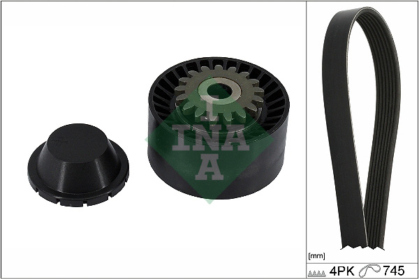 V-Ribbed Belt Set - 529 0408 10 Schaeffler INA