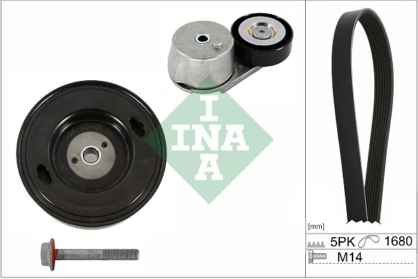 V-Ribbed Belt Set - 529 0409 20 Schaeffler INA