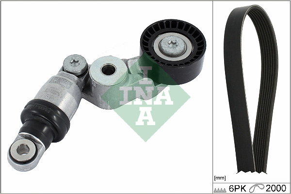 V-Ribbed Belt Set - 529 0413 10 Schaeffler INA