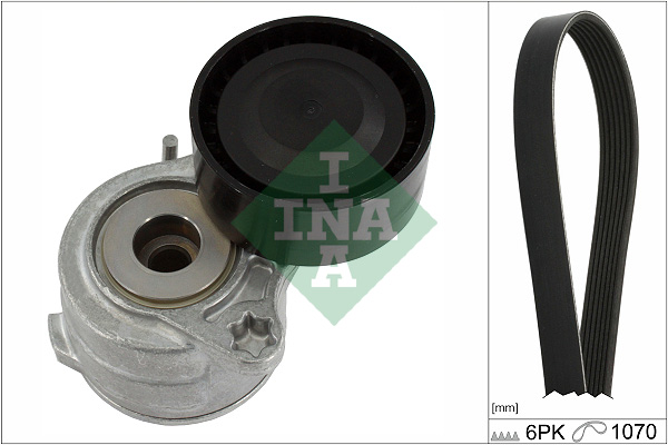 Kit Cinghie Poly-V - 529 0420 10 Schaeffler INA