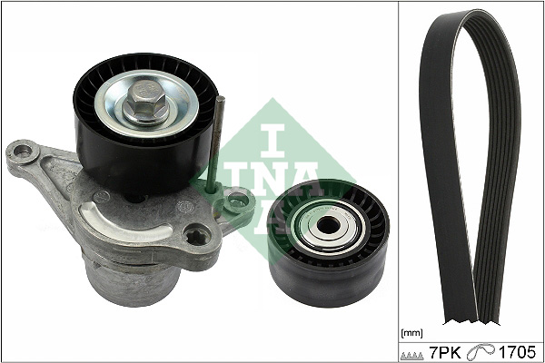 Kit Cinghie Poly-V - 529 0423 10 Schaeffler INA