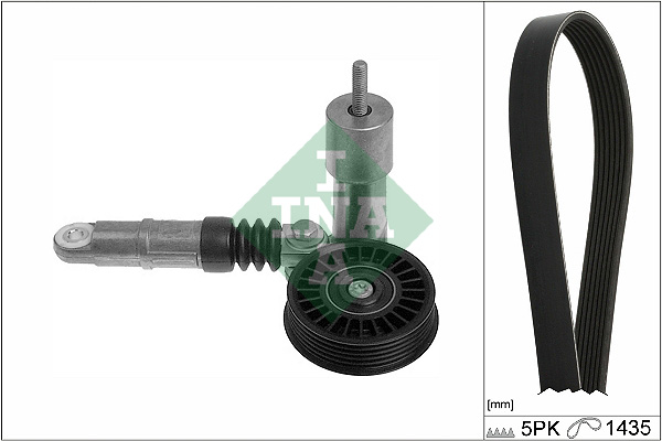Kit Cinghie Poly-V - 529 0425 10 Schaeffler INA