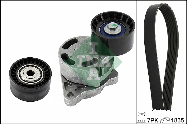 Kit Cinghie Poly-V - 529 0438 10 Schaeffler INA