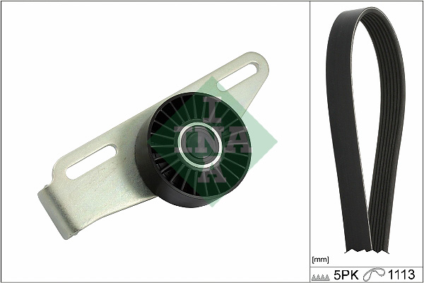 V-Ribbed Belt Set - 529 0441 10 Schaeffler INA