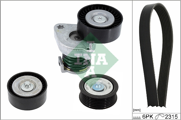 Kit Cinghie Poly-V - 529 0444 10 Schaeffler INA