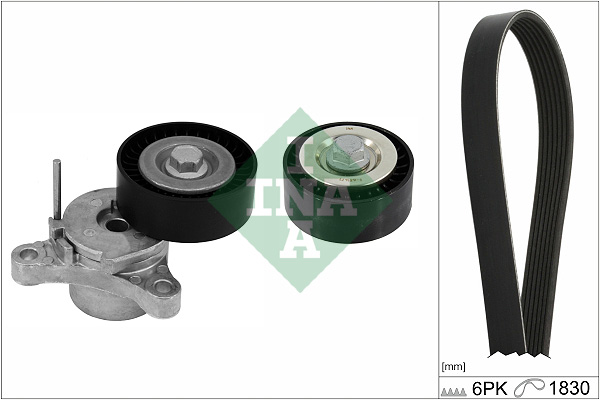 V-Ribbed Belt Set - 529 0448 10 Schaeffler INA