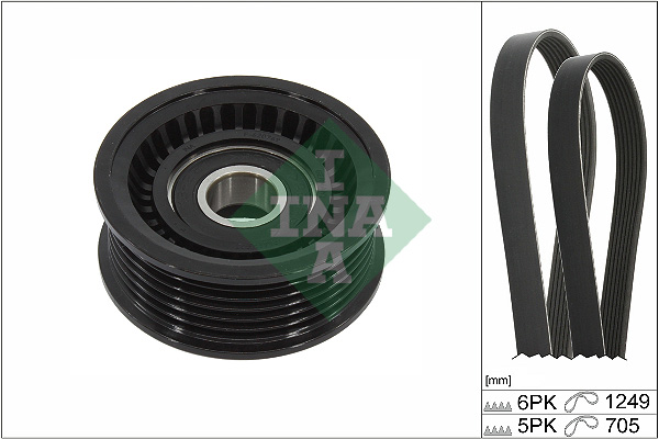 Kit Cinghie Poly-V - 529 0451 10 Schaeffler INA