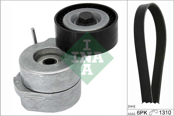 V-Ribbed Belt Set - 529 0455 10 Schaeffler INA