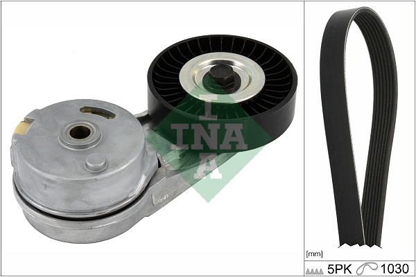 V-Ribbed Belt Set - 529 0460 10 Schaeffler INA
