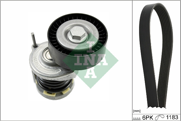Kit Cinghie Poly-V - 529 0466 10 Schaeffler INA