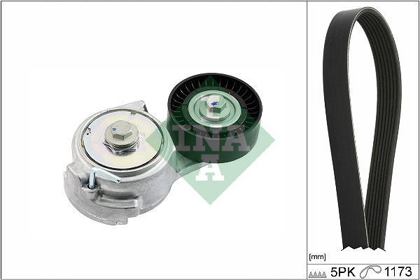 V-Ribbed Belt Set - 529 0478 10 Schaeffler INA