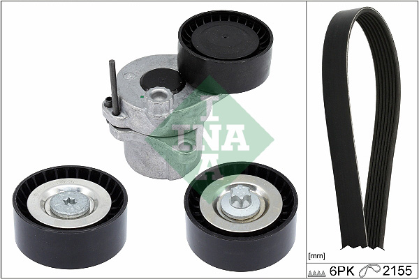 Kit Cinghie Poly-V - 529 0479 10 Schaeffler INA