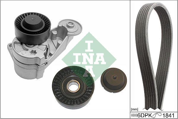 V-Ribbed Belt Set - 529 0480 10 Schaeffler INA