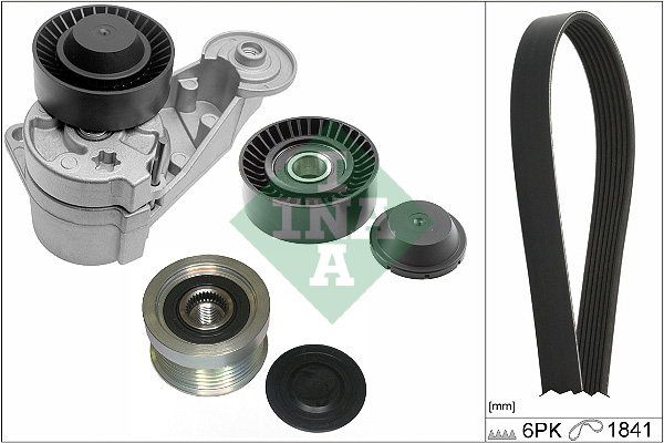 V-Ribbed Belt Set - 529 0480 20 Schaeffler INA